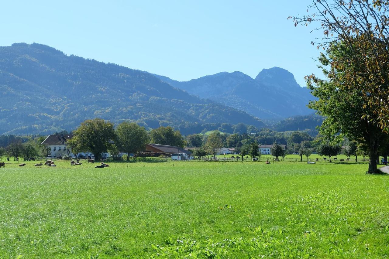 Apartament Am Jenbach Bad Feilnbach Zewnętrze zdjęcie